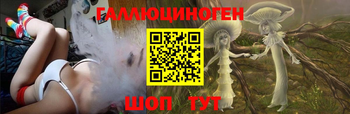 Псилоцибиновые грибы Psilocybine cubensis  Вход с VPN  Саянск 