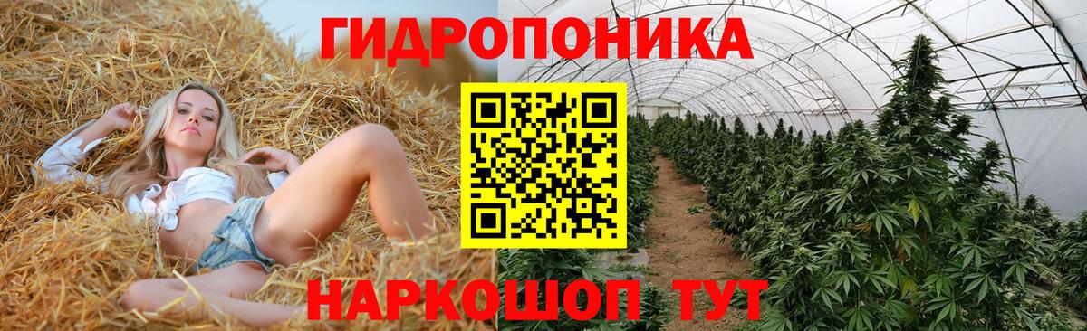 Канабис планчик Саянск